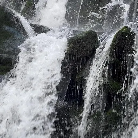 будиночок-зруб в центрі пилипця * Pilipets