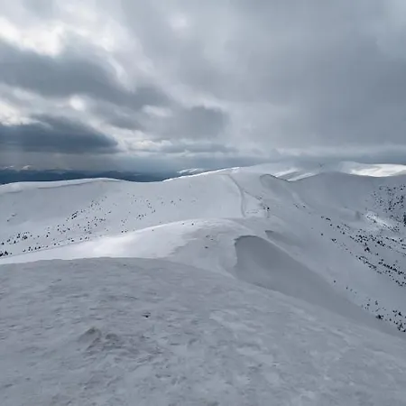 будиночок-зруб в центрі пилипця Villa