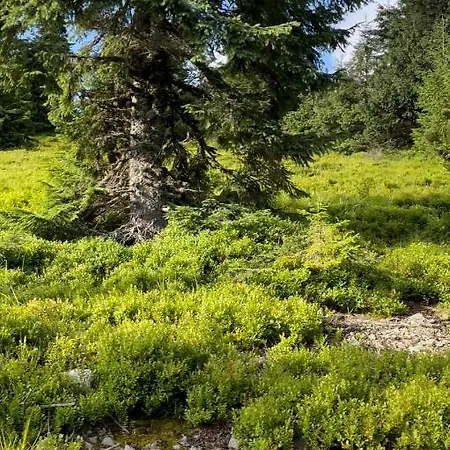 будиночок-зруб в центрі пилипця