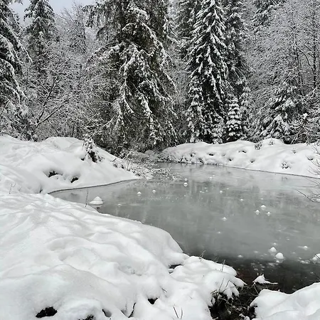 будиночок-зруб в центрі пилипця Villa *