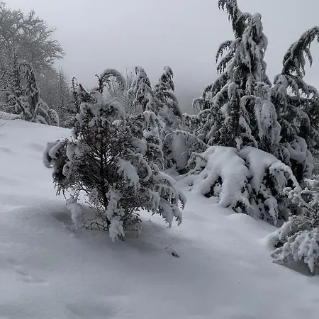 будиночок-зруб в центрі пилипця * Pilipets