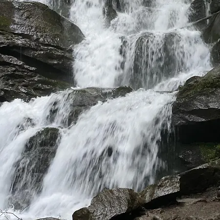 будиночок-зруб в центрі пилипця Pilipets