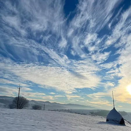 будиночок-зруб в центрі пилипця Villa *