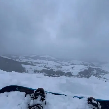 будиночок-зруб в центрі пилипця Villa Pilipets