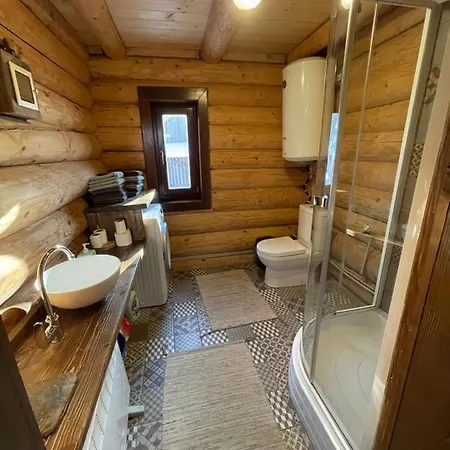 будиночок-зруб в центрі пилипця Villa